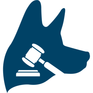 Newark Personal Injury Lawyer | TopDog Law Personal Injury Lawyers