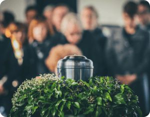 TopDog Law Personal Injury Lawyers Image