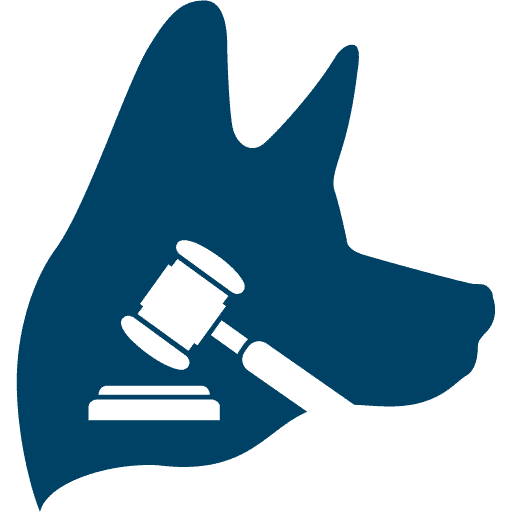 Personal Injury Lawyer